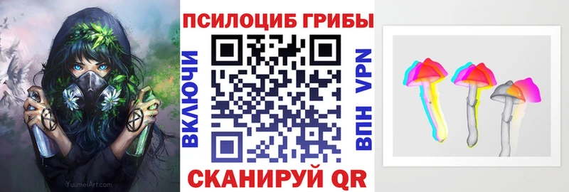 Псилоцибиновые грибы Psilocybe  Владикавказ 